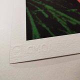 1980 Andy Warhol "Flowers" Limited Edition Lithograph by CMOA.