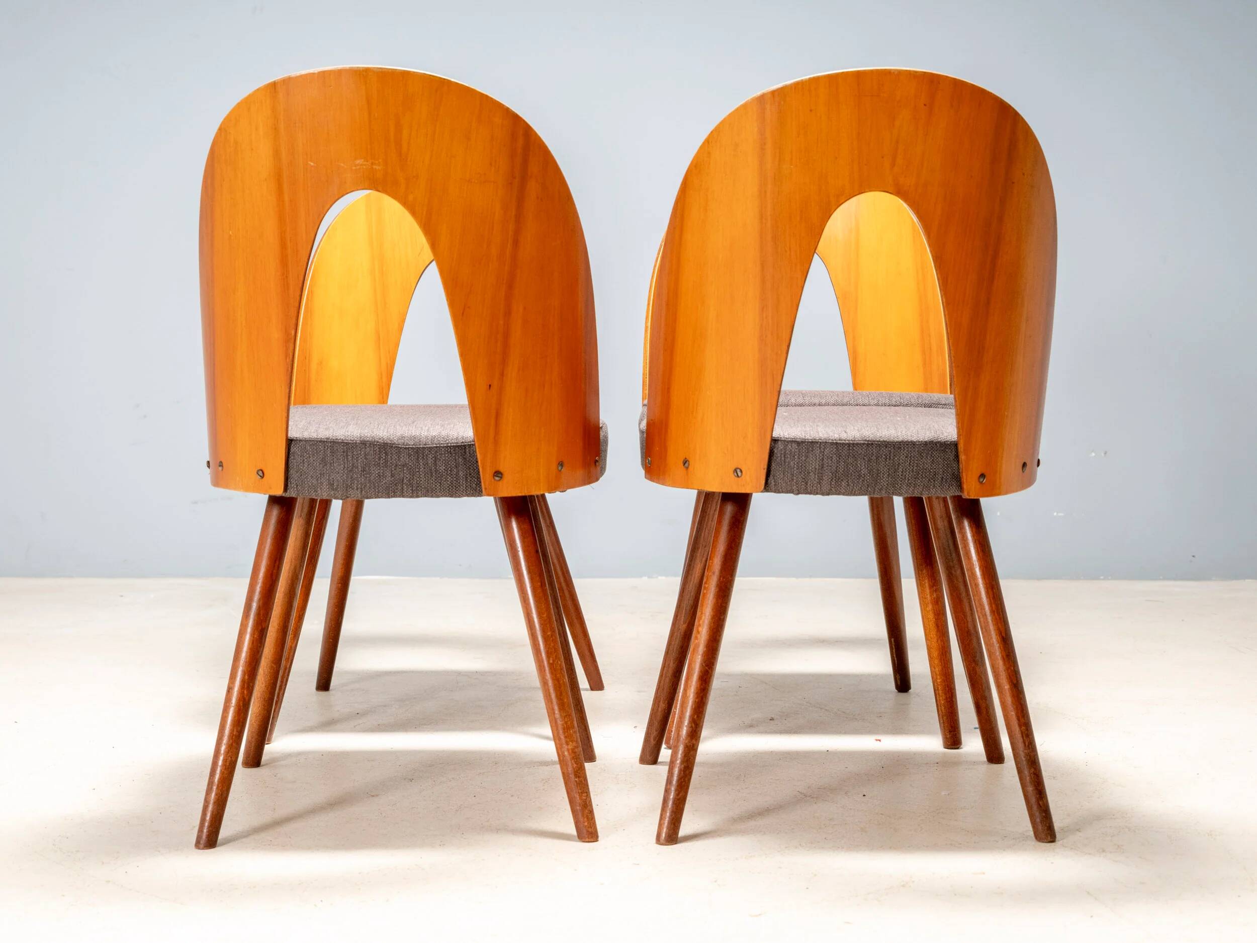 Chaises de salle à manger Antonín Šuman, Tatra Nábytok, Tchécoslovaquie années 1960.