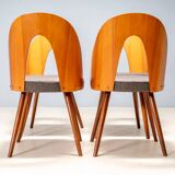 Chaises de salle à manger Antonín Šuman, Tatra Nábytok, Tchécoslovaquie années 1960.