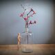 Transparent 10L apothecary bottle