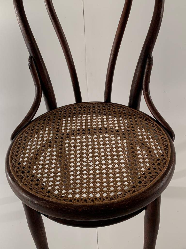 Thonet chair