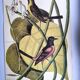 Antique bird engraving - Baltimore Bastard - Natural Seligmann plate