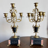 Pair of 5-light candelabra in Empire style