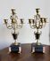 Pair of 5-light candelabra in Empire style