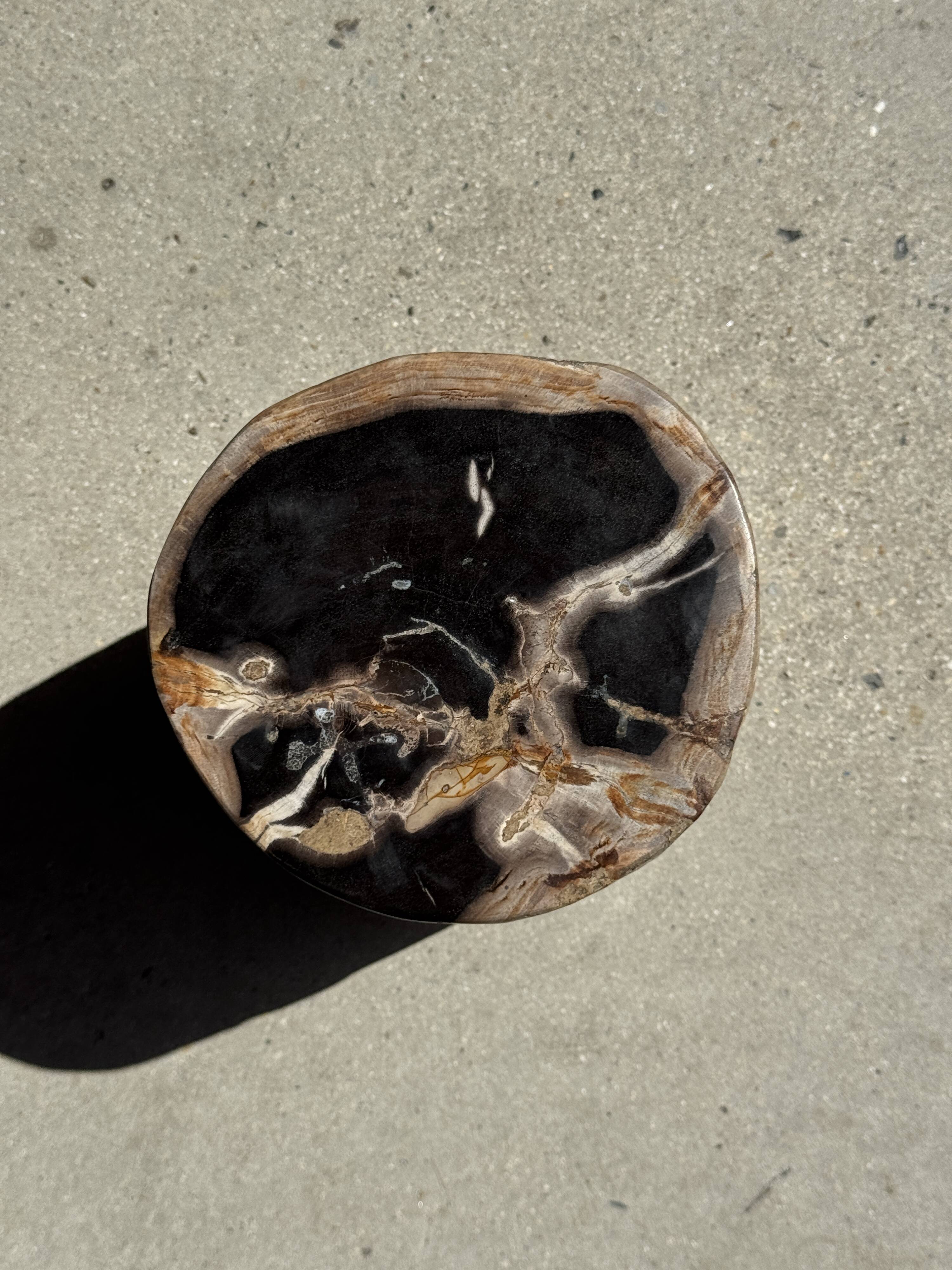 Petrified wood side table, black heart, beige bark, H35 D22 - 3330