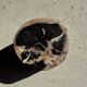 Petrified wood side table, black heart, beige bark, H35 D22 - 3330