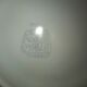2 Niderviller earthenware oyster plates hand-painted foam decoration