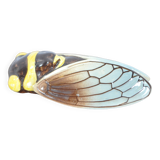 Cicada Earthenware St Jean du Desert