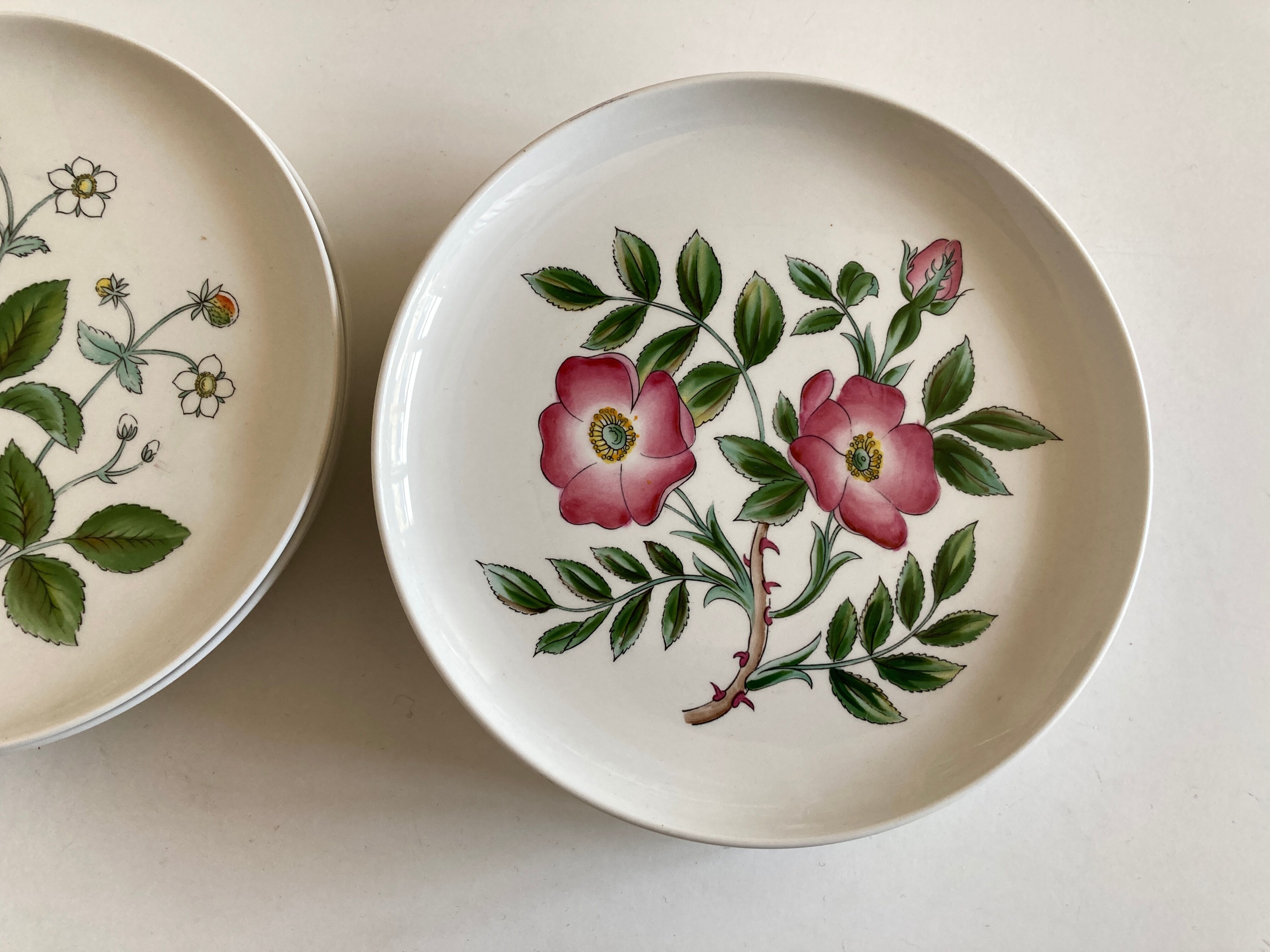 Set 11 assiettes fleurs Rorstrand Sweden Flora 1970