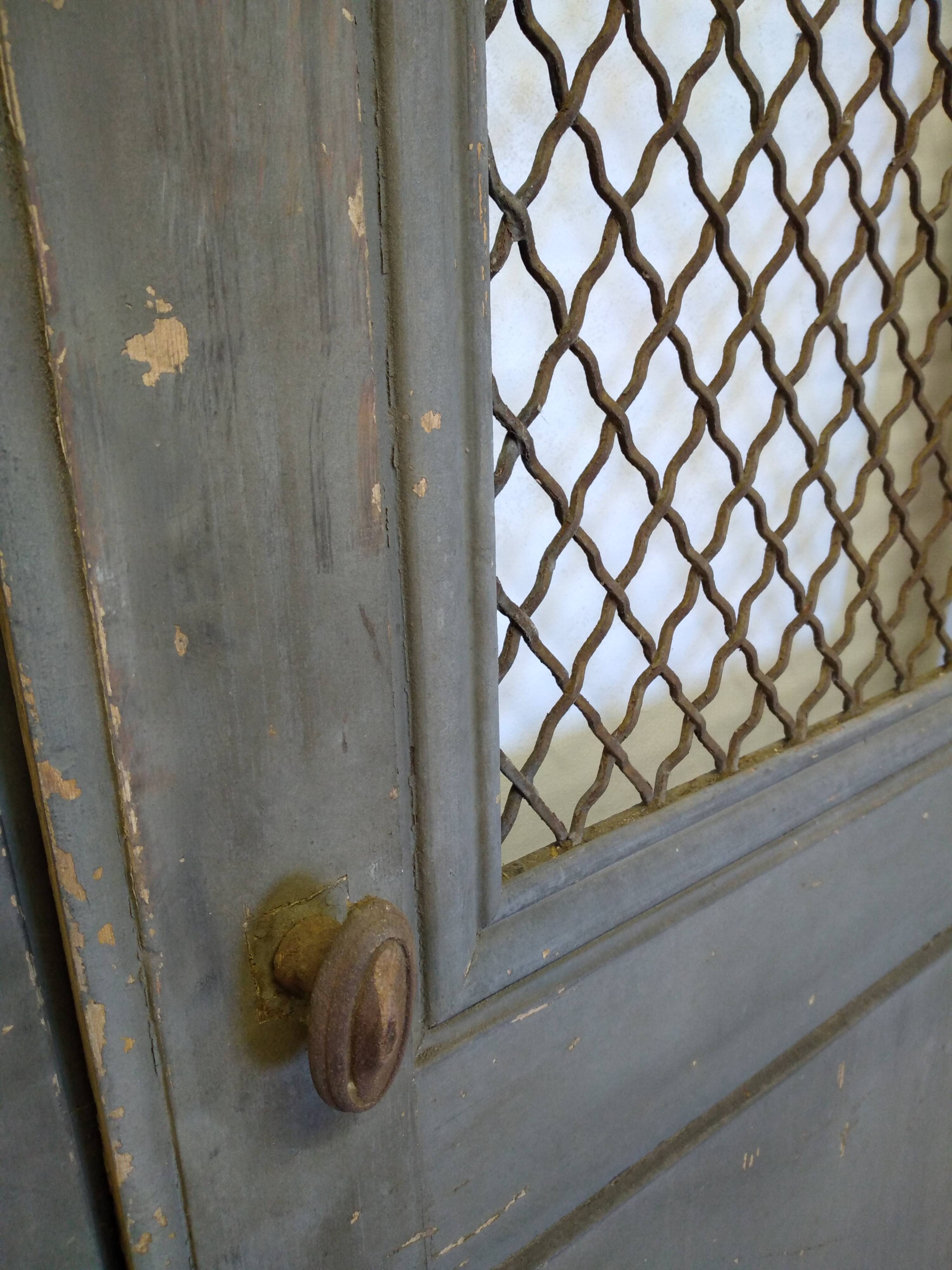 Double old mesh door