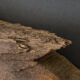 Élément en bois sculpté polychrome décor d'animaux ailés XXe Inde
