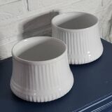 White plant pot
