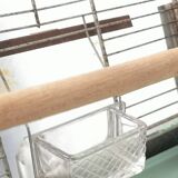 30 year old bird cage