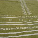 Green and white rug 220x140cm