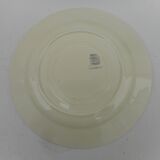 Six flat earthenware plates