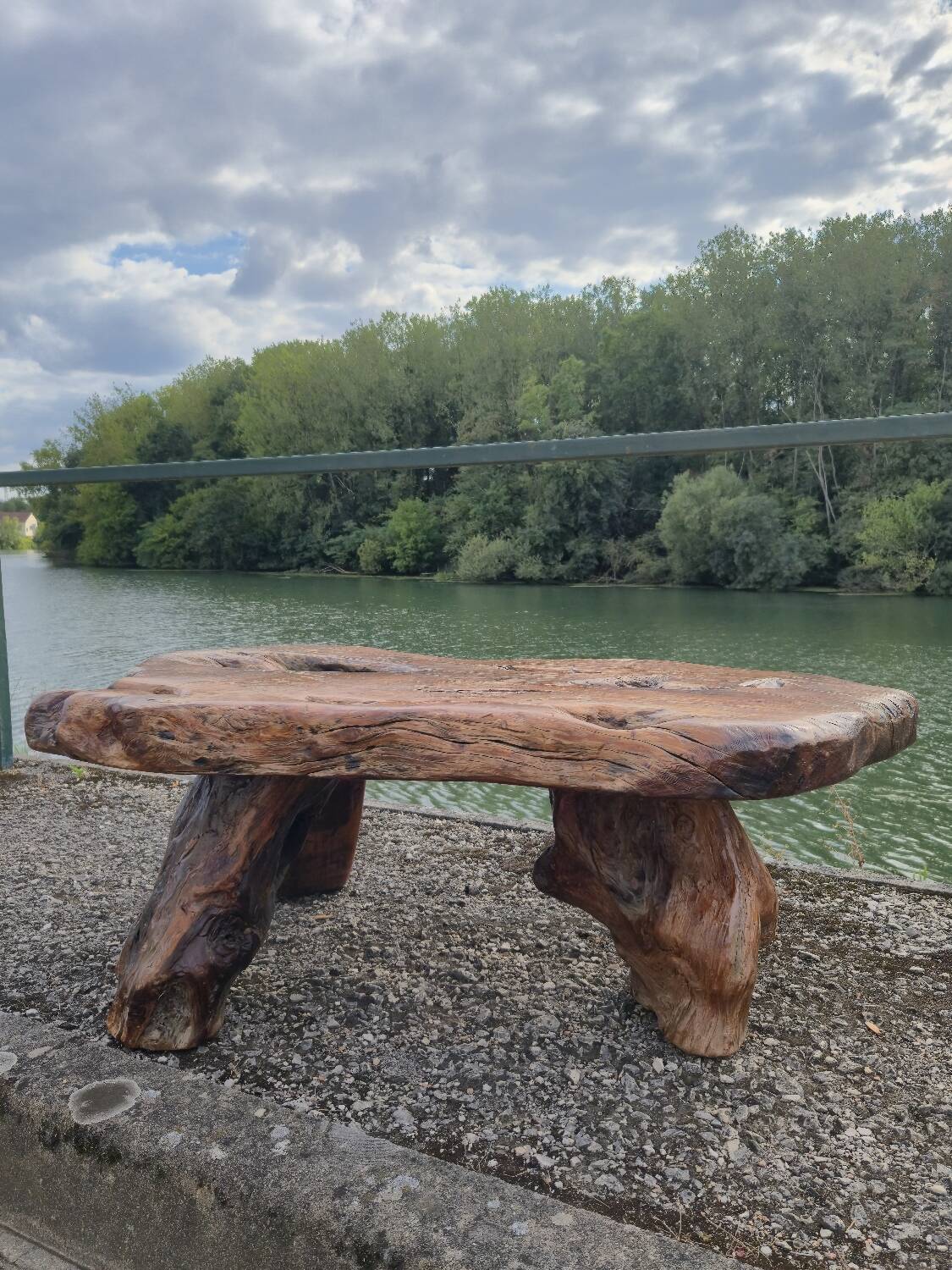 Brutalist coffee table made from solid elm tree trunk, 1950s