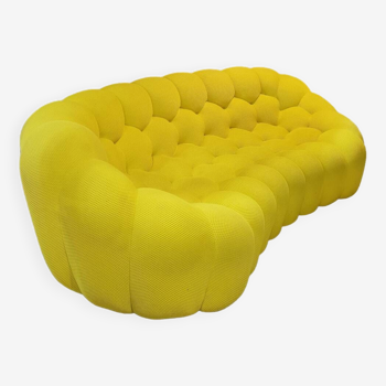 Bubble roche Bobois sofa