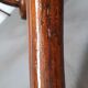 Porte-manteaux perroquet Thonet ancien