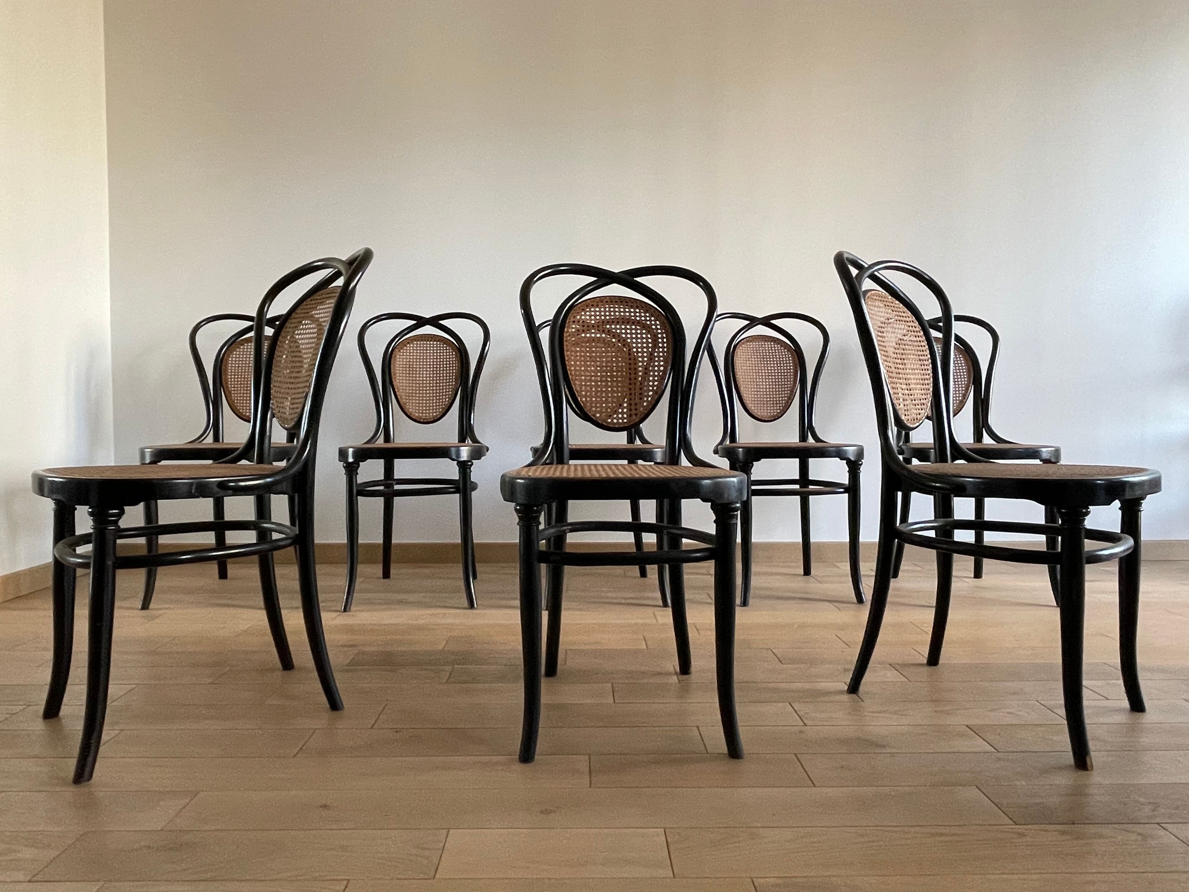 Series of 8 Viennese chairs N.33 by J&J Kohn, 1900