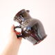 Sandstone jug, vintage