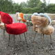 Together 10 seats and 2 mirrors rug 70s