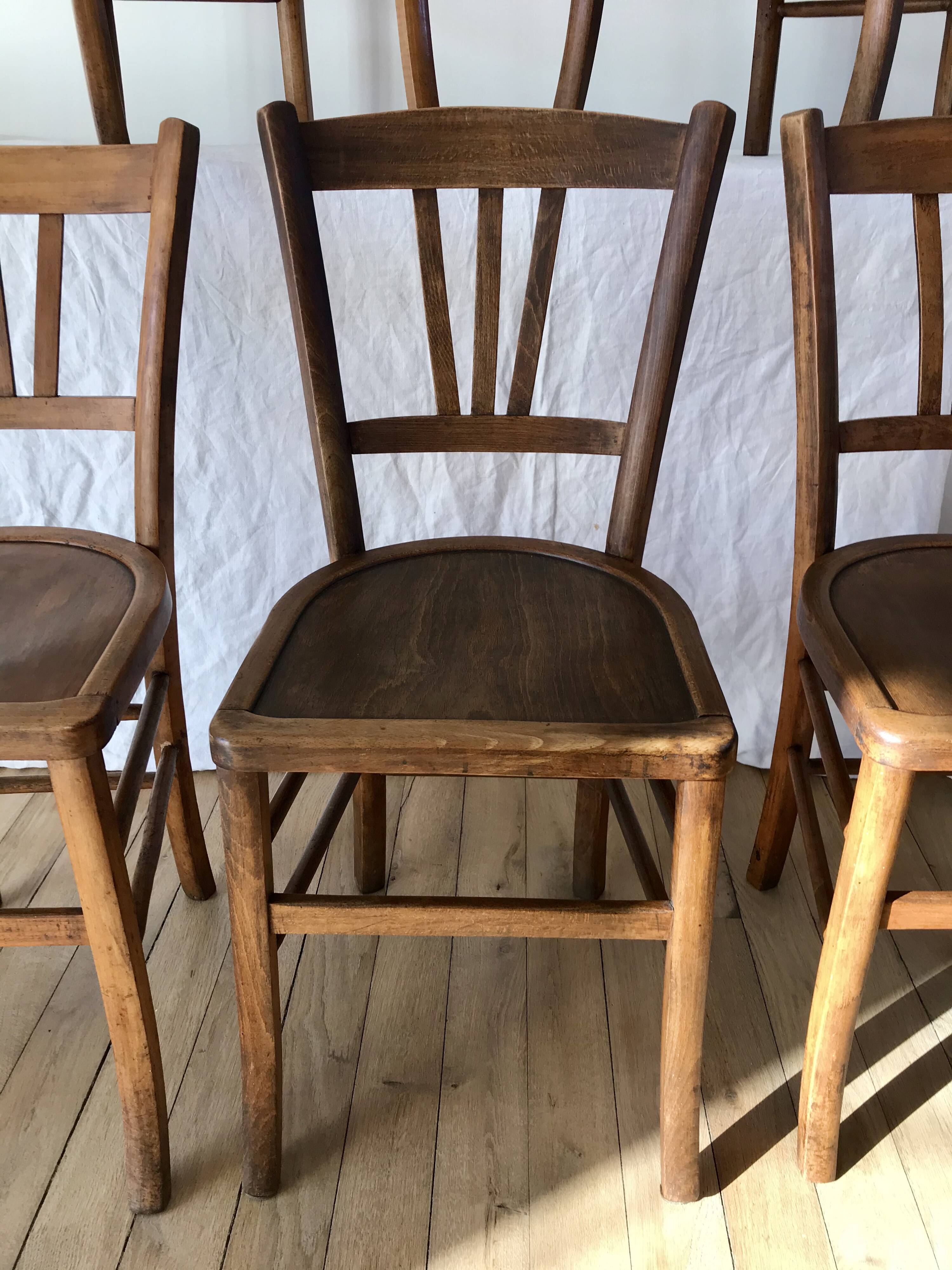 Set of 5 beech wood bistro chairs from the 1950s