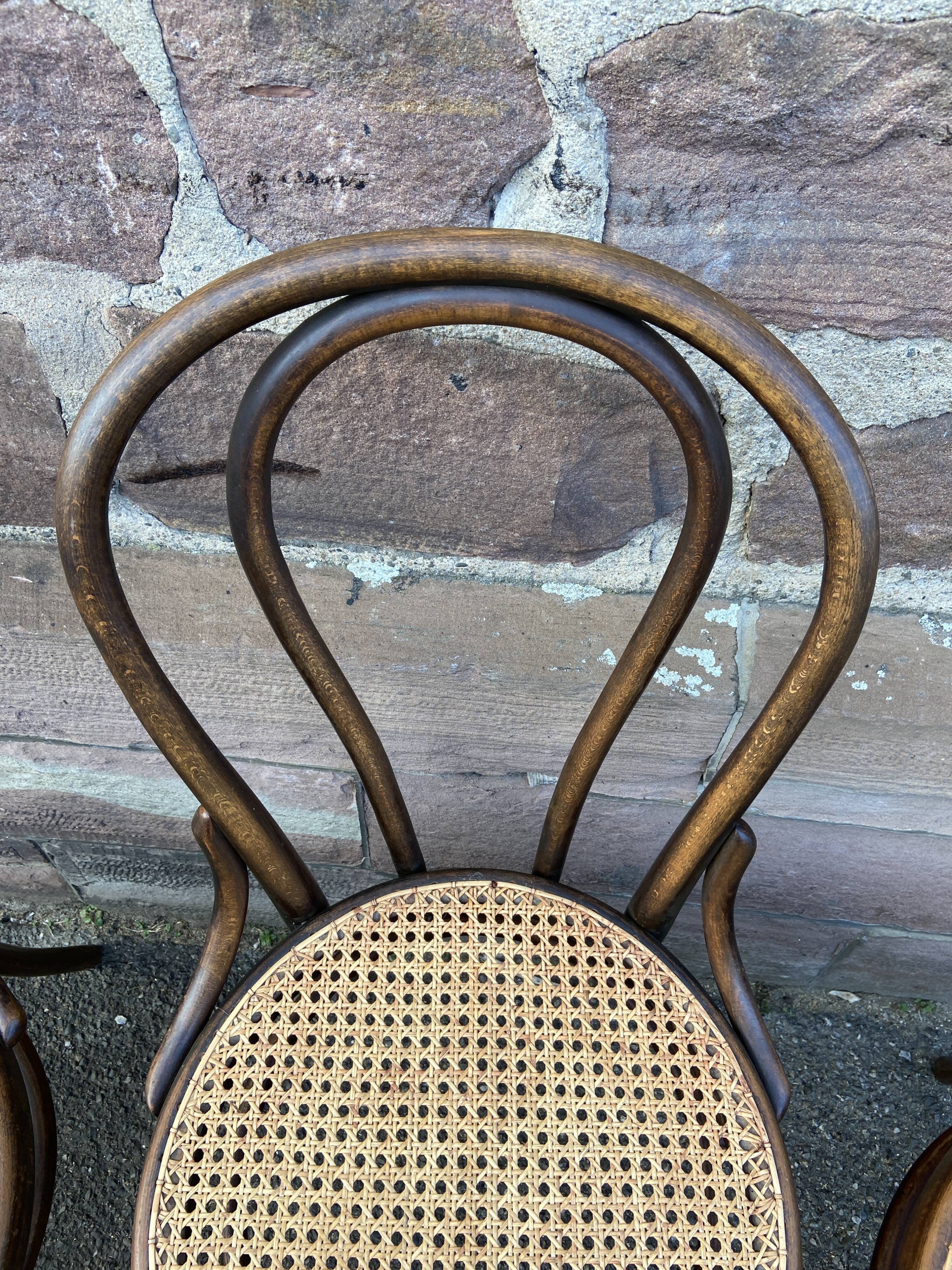 Suite of 4 chairs bistrot Fischel Nr 18 bentwood