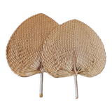 Palm fan