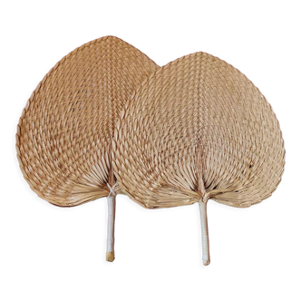 Palm fan