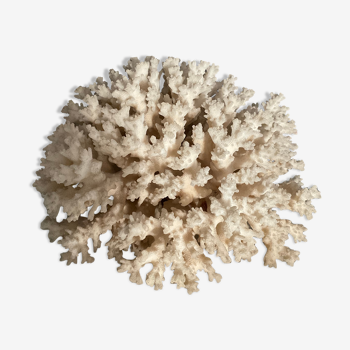 Vintage coral 22 cm
