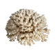 Vintage coral 22 cm