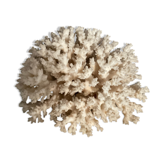 Vintage coral 22 cm