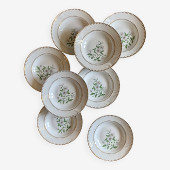 Set of 8 vintage soup plates, flower decorations and golden borders