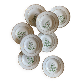 Set of 8 vintage soup plates, flower decorations and golden borders