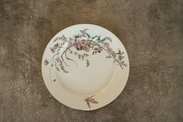 4 Dessert plates country décor birds and mosquitoes