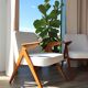 Vintage armchair white curly natural wood boho design by Chierowski 1970