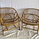 Paire de fauteuils corbeille en rotin