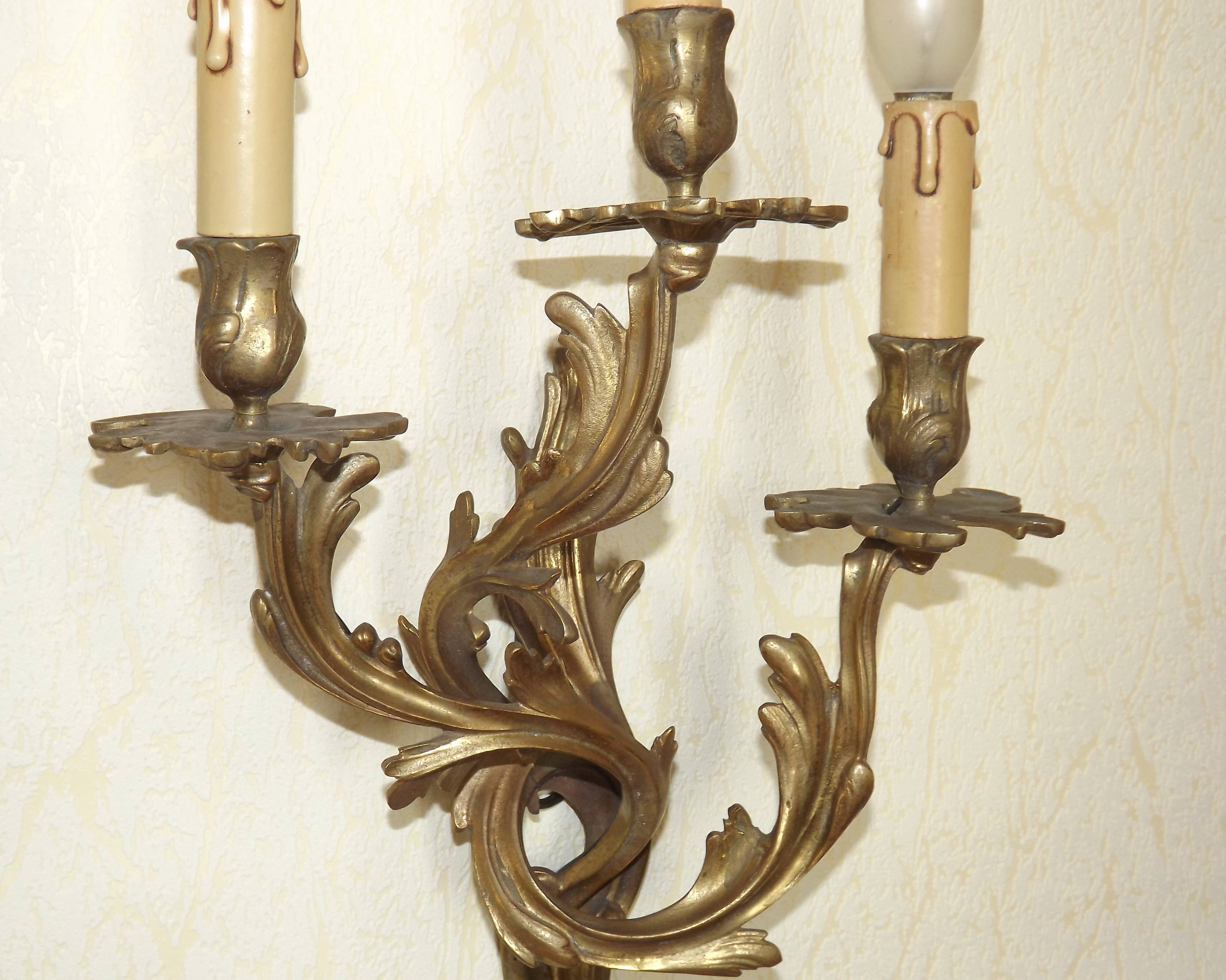Very large pair of early 1900s 3-light acanthus leaf wall sconces 5209