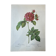 Botanical plate Frankfurt Rose 40.4x29.9cm