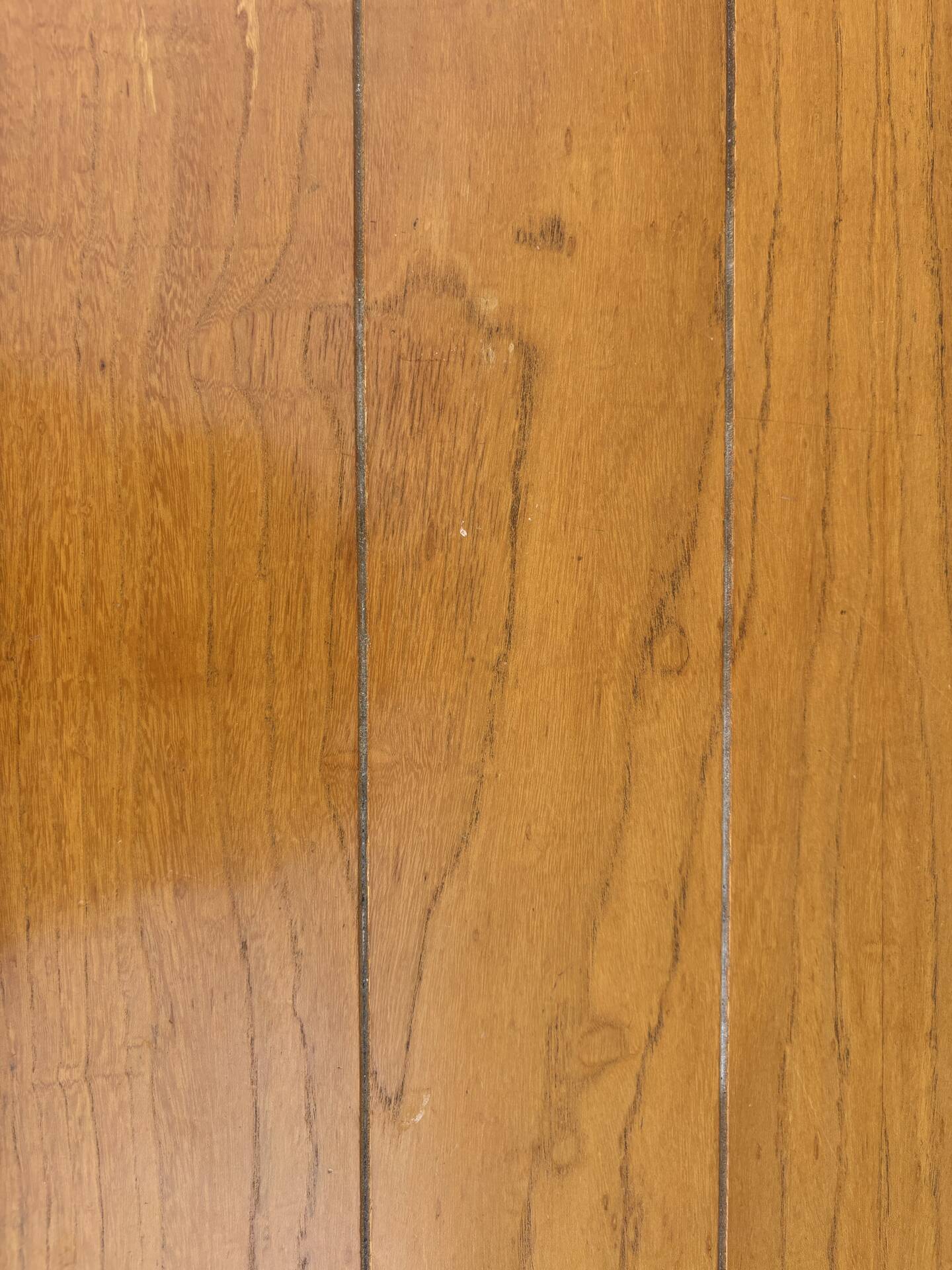 Table basse orme massif Maison Regain, 1960