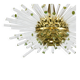 Lustre Bakalowits Miracle Sputnik in brass with crystal glass rods, 1960s