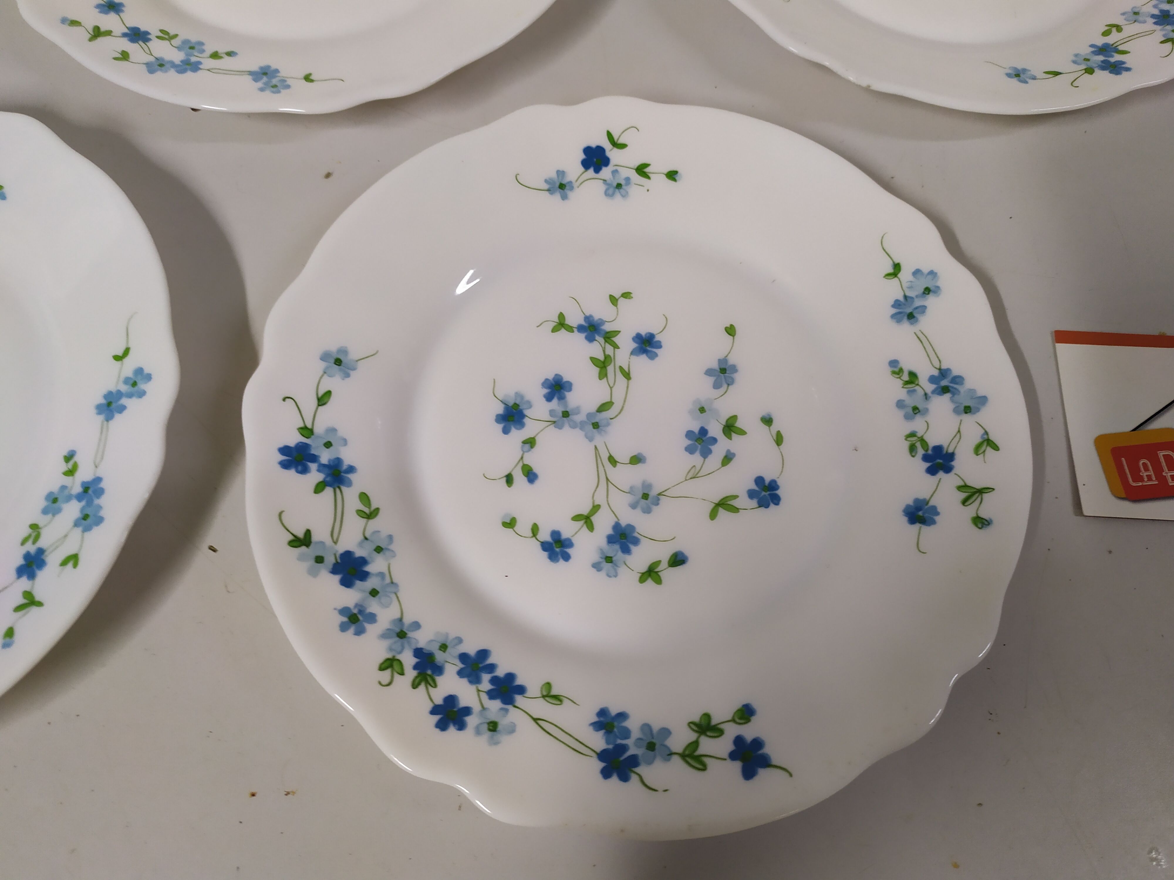 5 Desserts ARCOPAL Véronica Myosotis Vintage Blue Flower