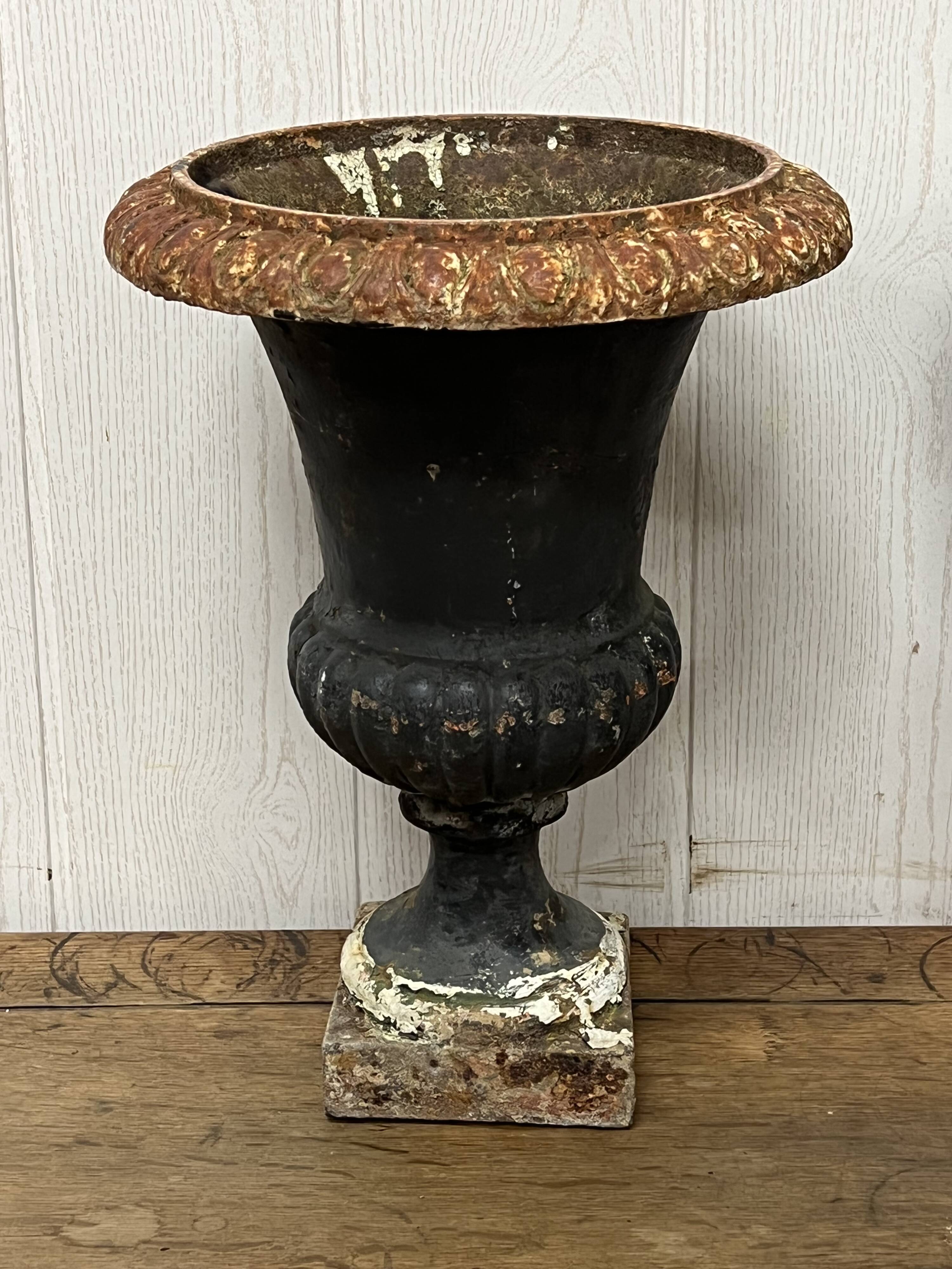 Pair of Medici vases