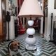 Lampe de table de Zaccagnini - 1960