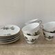 Vintage porcelain herbarium service 6 cups with plates