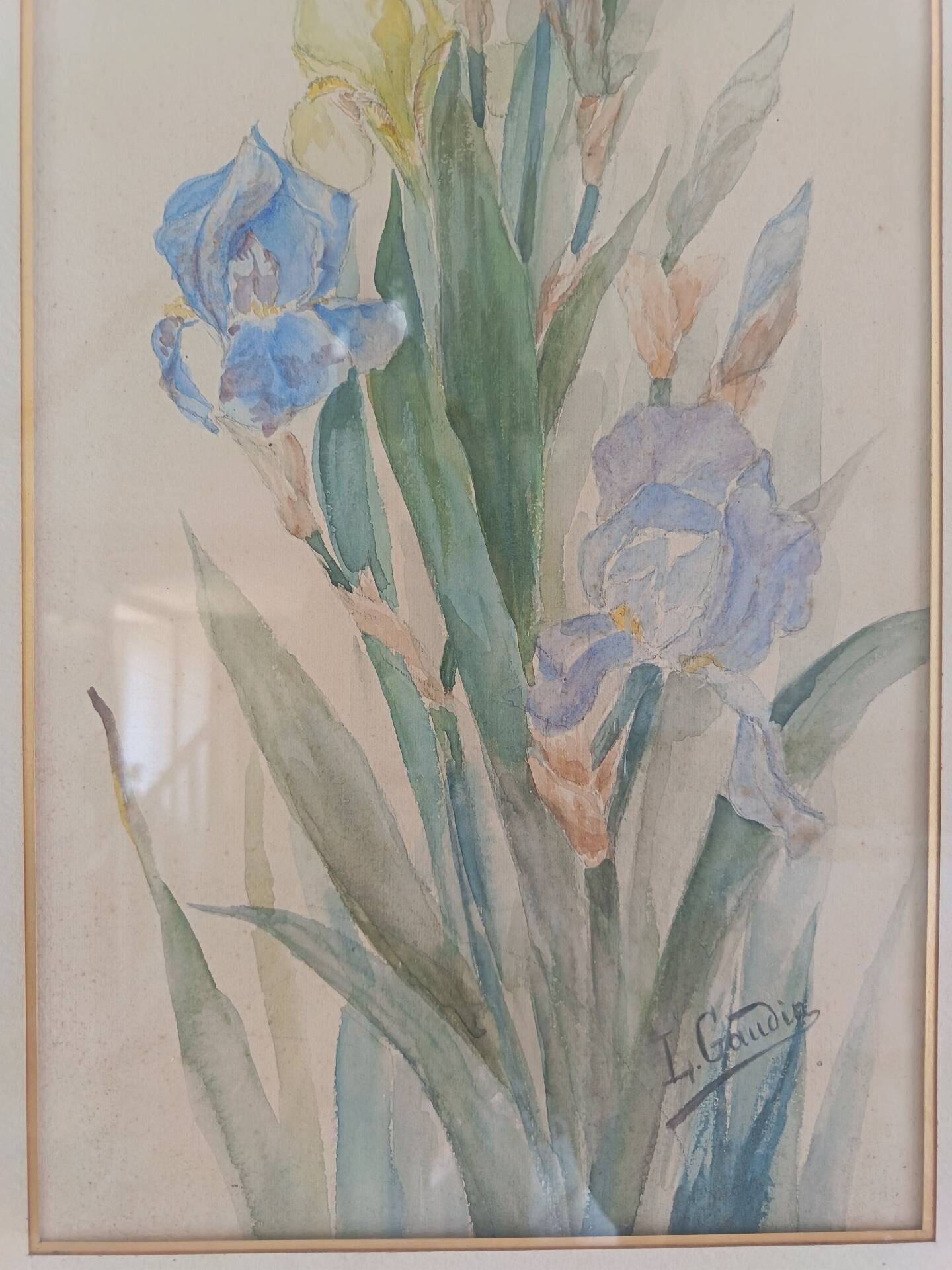 Painting of an iris