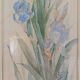 Painting of an iris