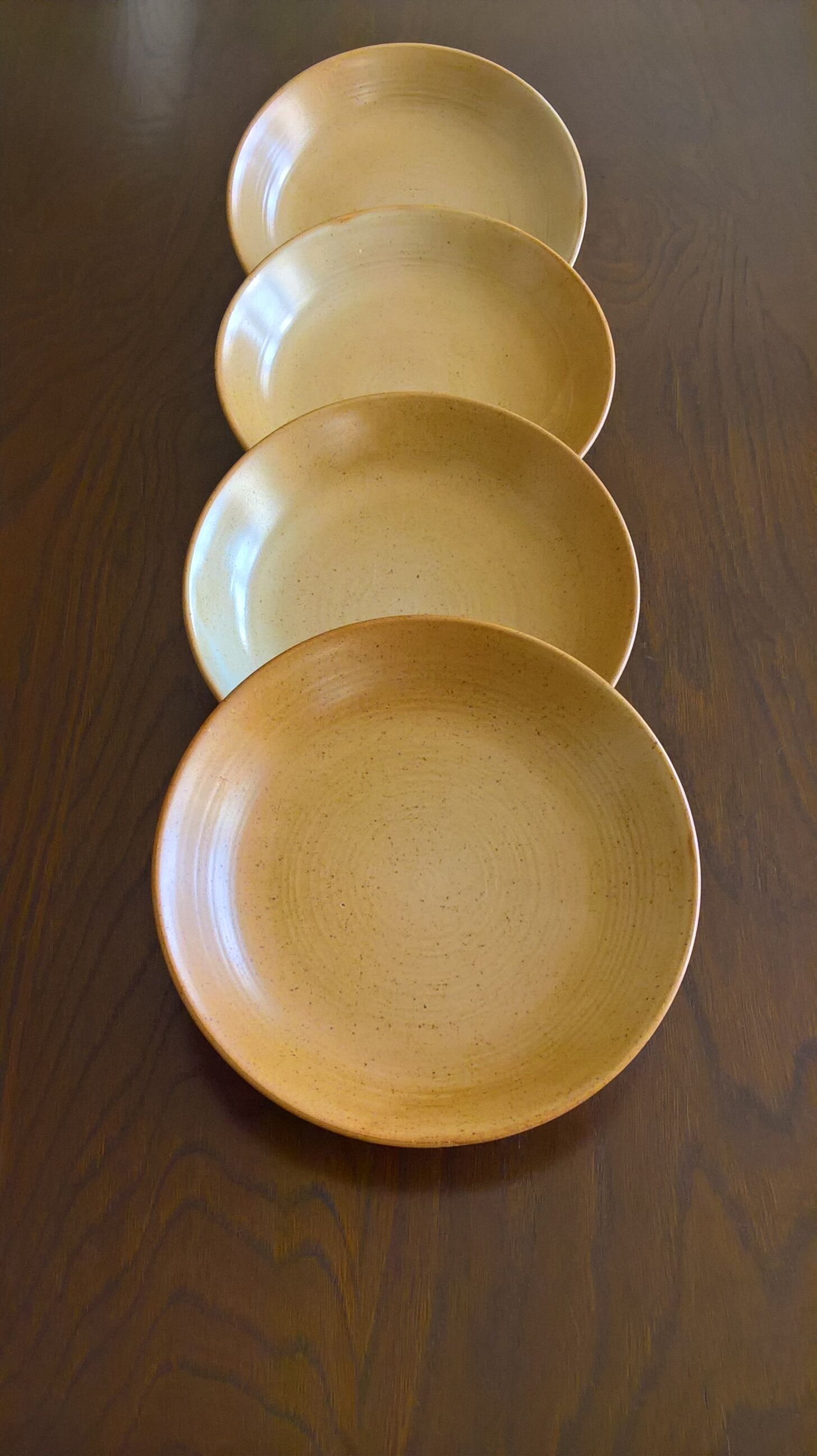 Set de 4 assiettes calottes en grès CNP village