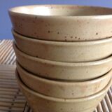 Set of 5 bowls in stoneware Digoin