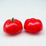 Vintage 70s red tomato plastic ice bucket